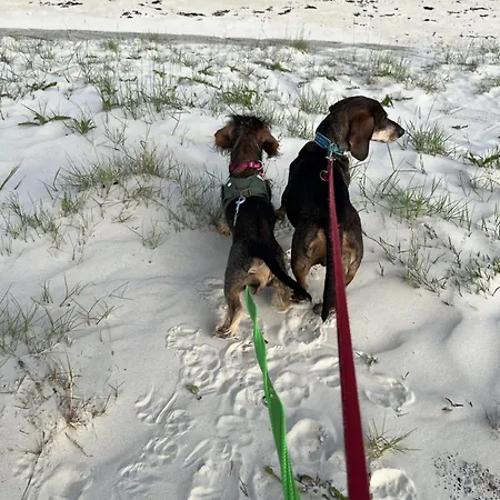 Dackel Am Deich - Strandnah - Eingezaeunter Garten - Ruhe